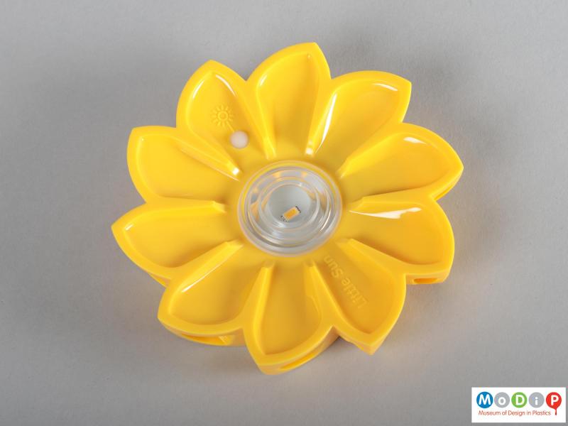 Front view of a light showing the flower shape.