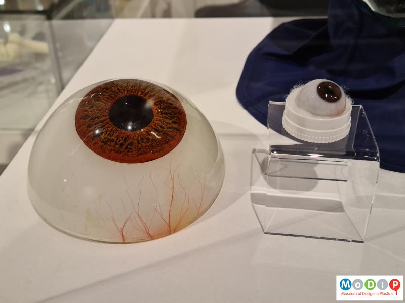 Side view of a model eye showing it next to a prosthetic eye