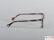 Side view of a pair of glasses showing the patterned arms and clear rear section of the frame.