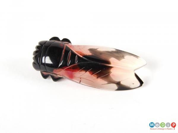 Front view of a Cicada bug brooch showing the translucent wings.