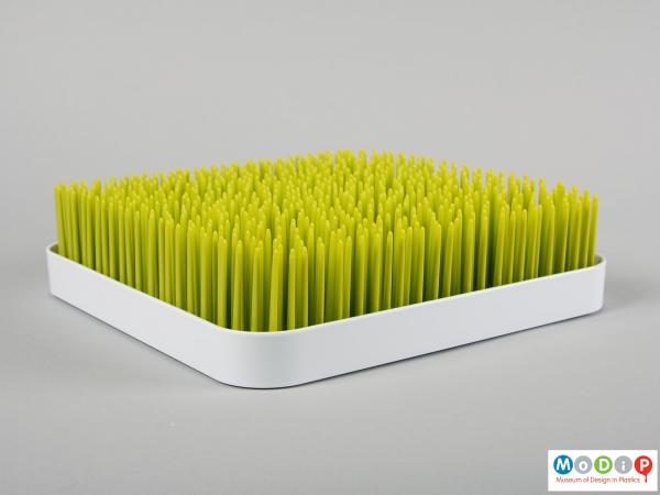 Side view of a drying tray showing straight blades of grass.
