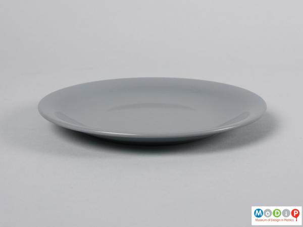 Side view of a plate showing the smooth rise up to the edge from the centre.