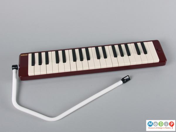 Top view of a melodica showing the wind pipe.