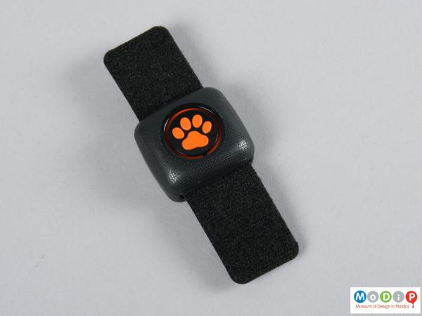 Top view of a tracker showing the paw print logo and collar strap.