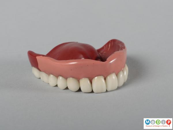 Front view of a upper denture showing the pink gum.