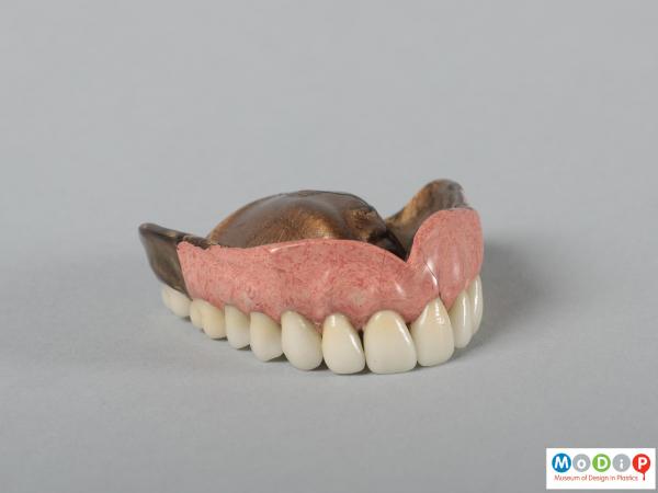 Front view of a upper denture showing the pink gum.