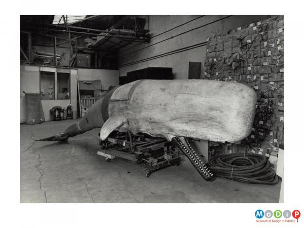 Scanned image showing a model of a whale.
