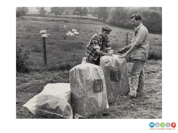 Scanned image showing two men sealing bags of hay in a field.