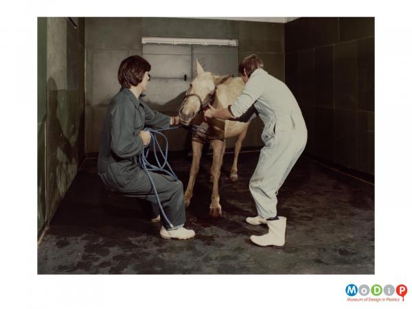 Scanned image showing a horse in a padded operating theatre.