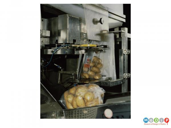 Scanned image showing sacks being mechanically filled with potatoes.