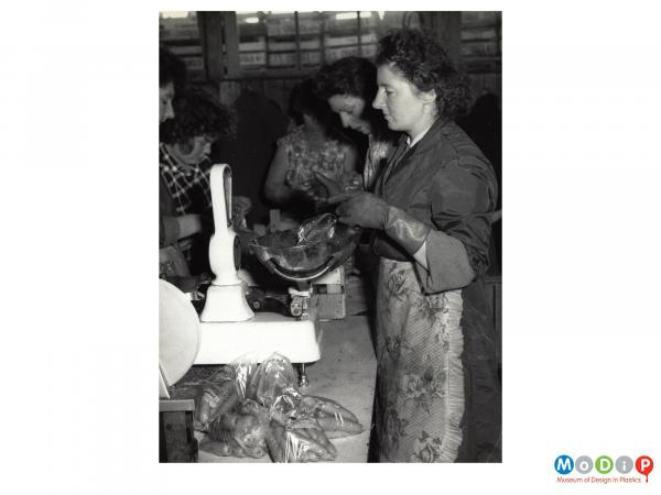 Scanned image showing female workers weighing and bagging carrots.