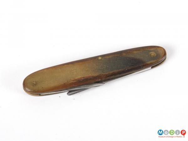 Side view of a penknife showing the horn scales.