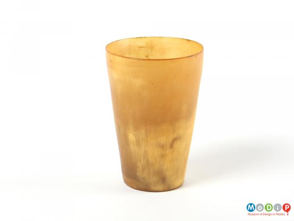 Side view of a beaker showing the natural patterning of the horn.