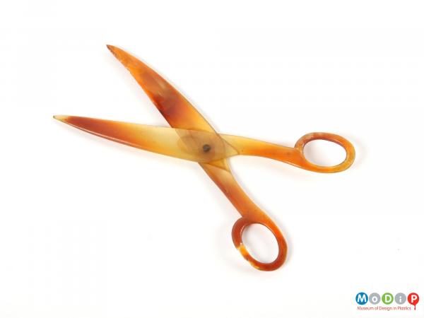 Side view of a pair of scissors showing the blades open.