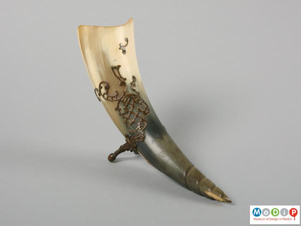 Side view of a carved horn showing the carved tip.