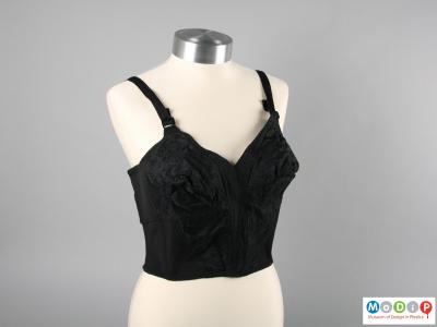 Front view of a bra showing the long line panel.