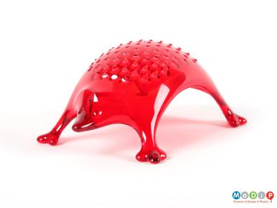 Front view of a grater showing the arched back of the hedgehog.
